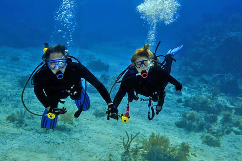 Two scuba divers holding hands underwater amidst coral.