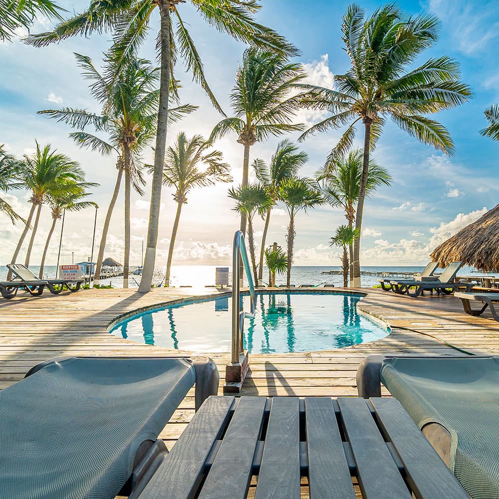 A serene tropical scene featuring a pool surrounded by palm trees and lounge chairs, with the ocean and sunset in the background.