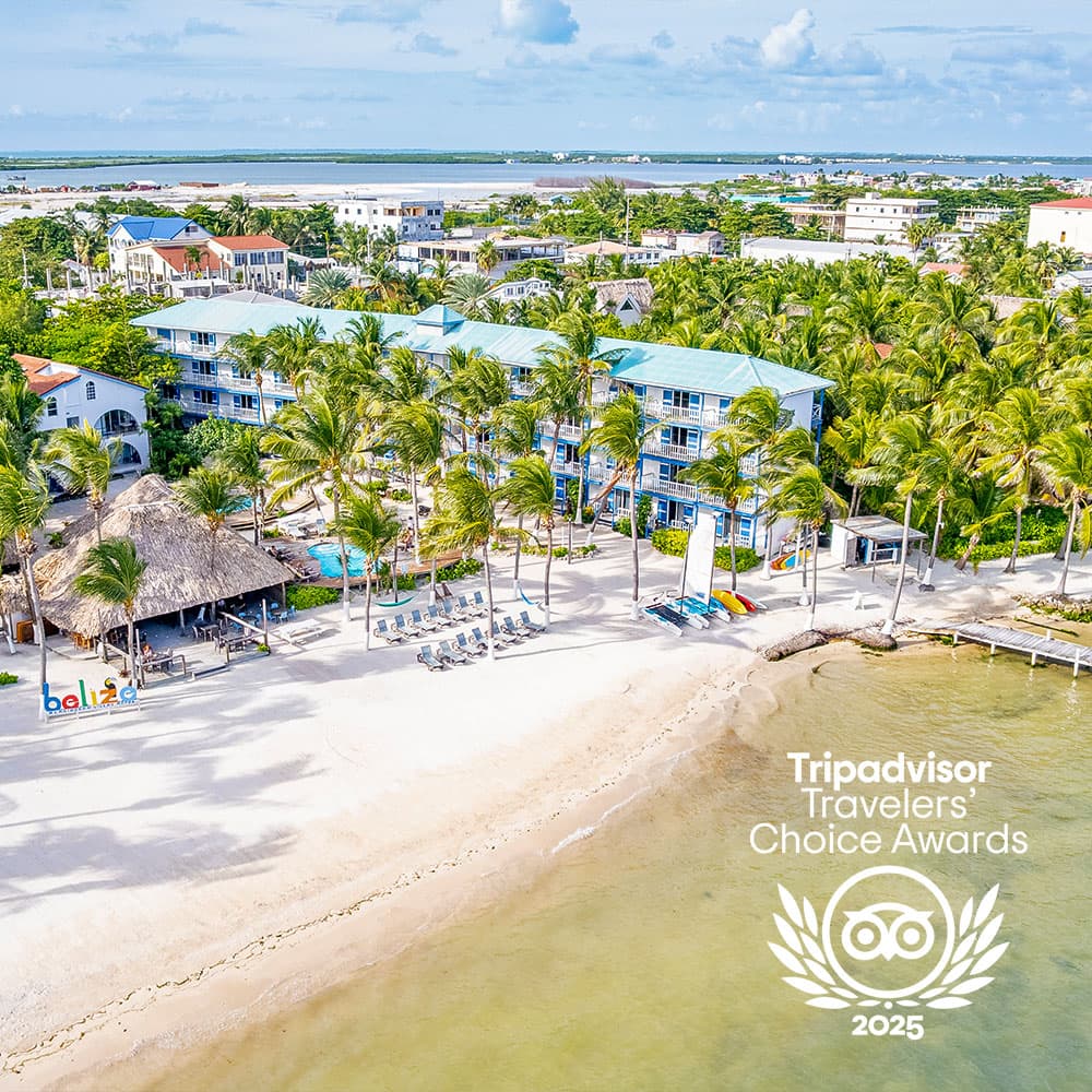 Aerial view of a beachfront hotel surrounded by palm trees with the ocean nearby.