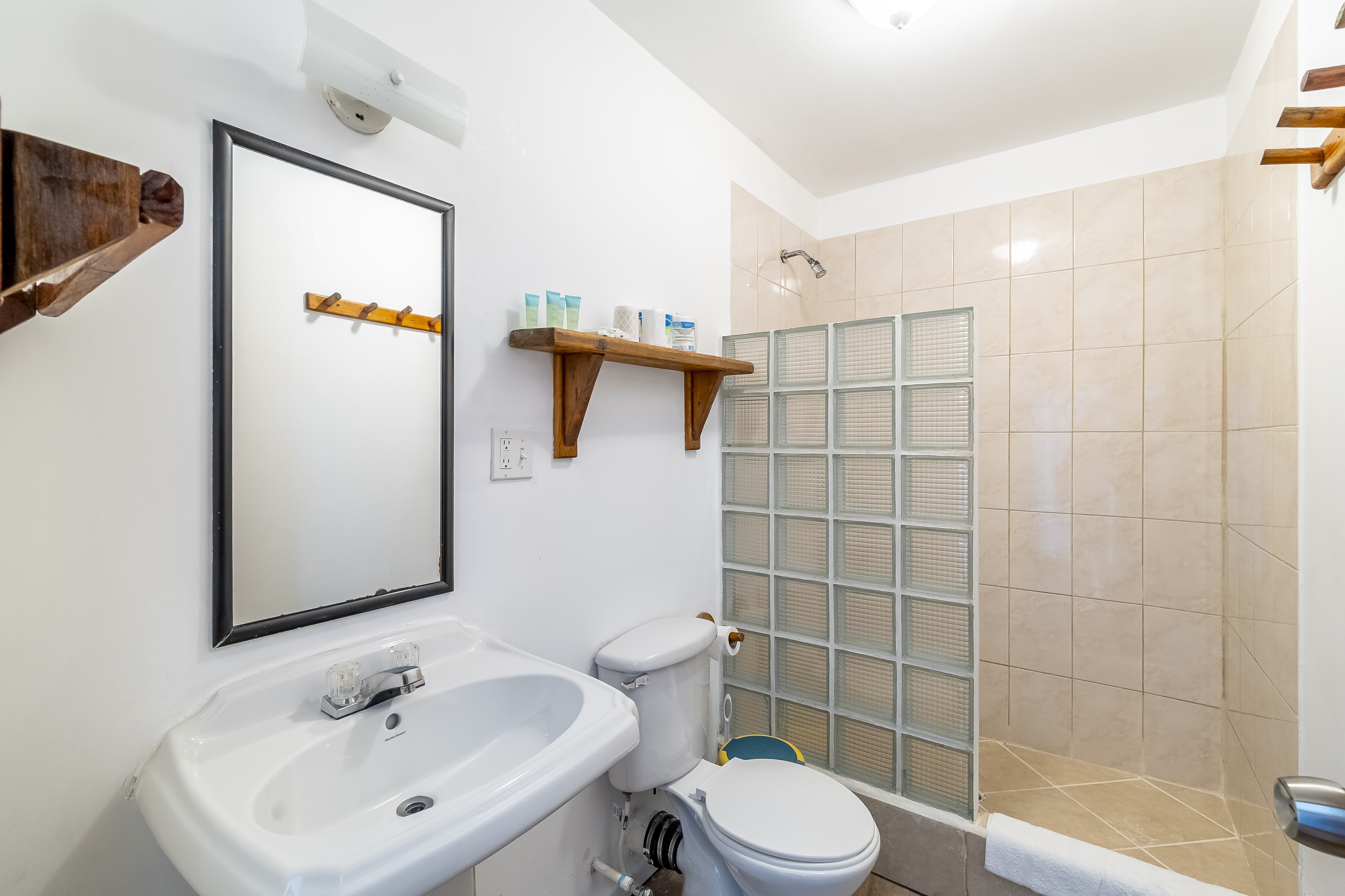 Clean, modern bathroom in a tropical suite featuring a pedestal sink, a large black-framed mirror, and a walk-in shower with a glass block partition and tan tiling.