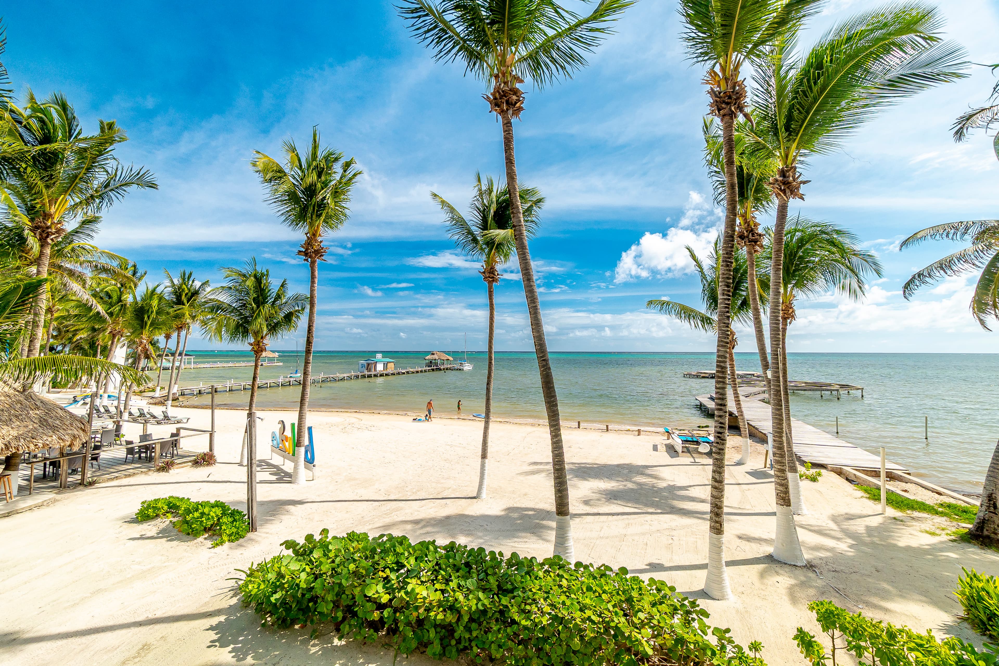 Caribbean VIllas Pelican Perch Veranda Beachfront View of a white sand shore lined with tall palm trees, overlooking a pier and the calm, blue Caribbean Sea under a clear sky.