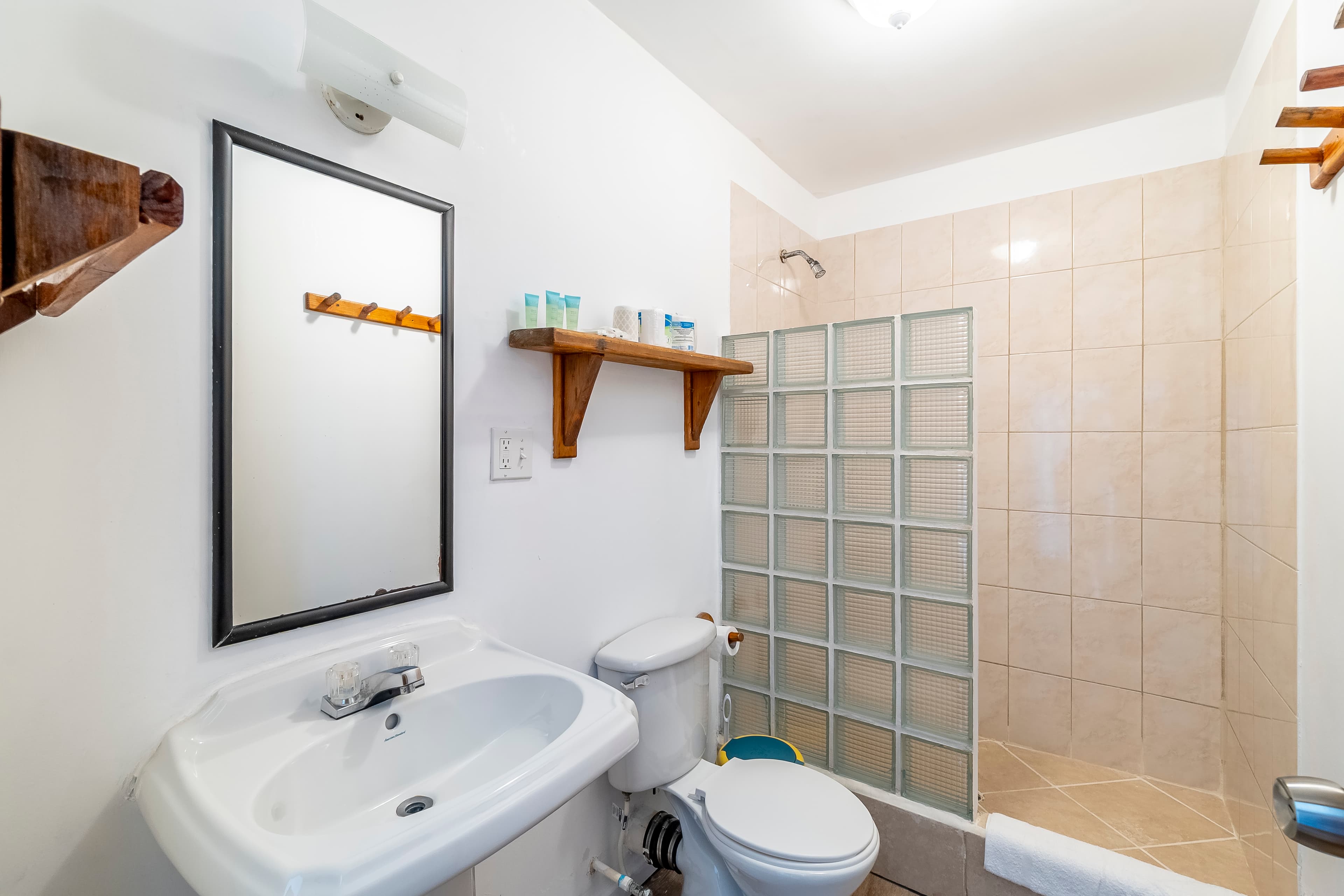 Clean, modern bathroom in a tropical suite featuring a pedestal sink, a large black-framed mirror, and a walk-in shower with a glass block partition and tan tiling.