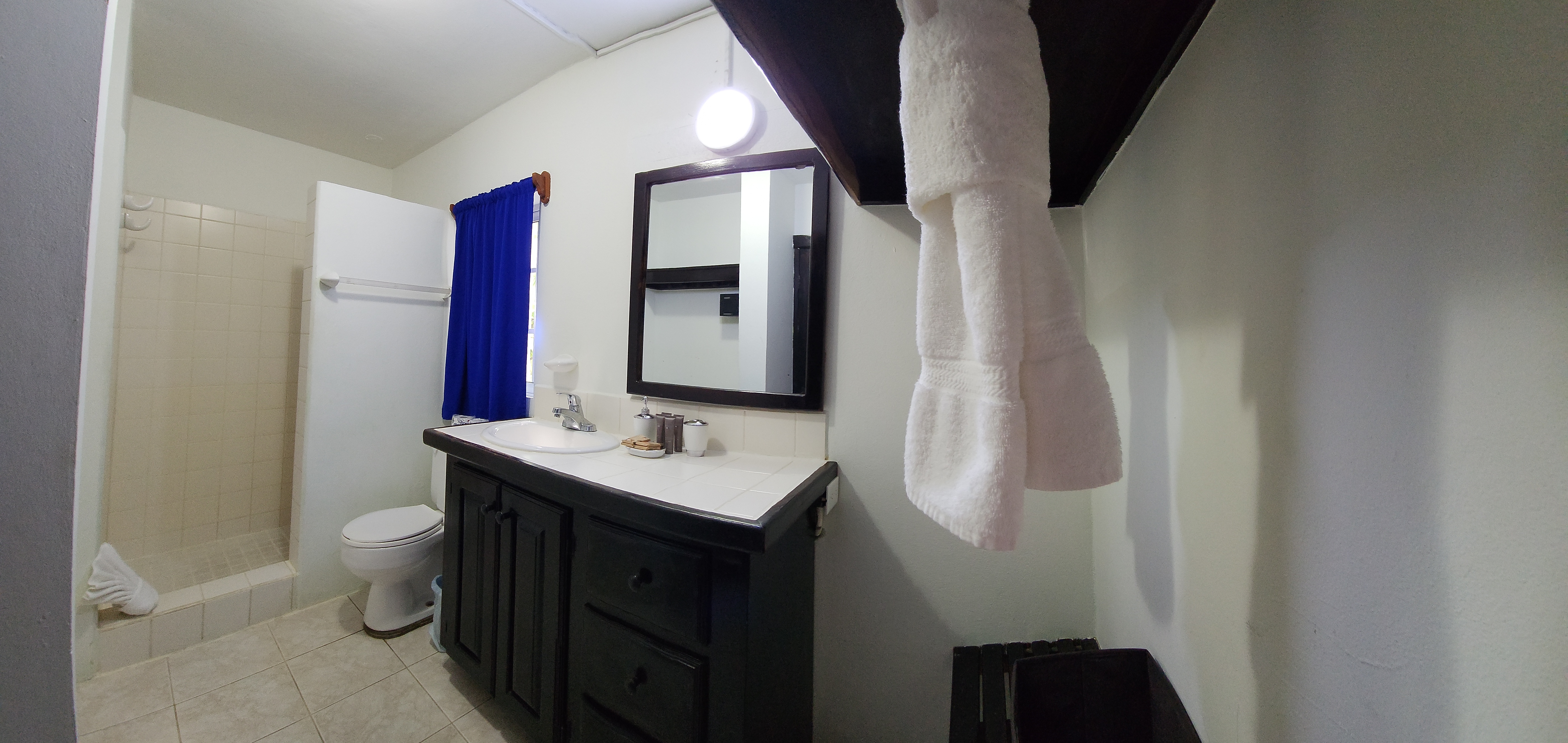 Clean, modern bathroom featuring a dark wood vanity with a white countertop, a large black-framed mirror, and a white-tiled walk-in shower area.