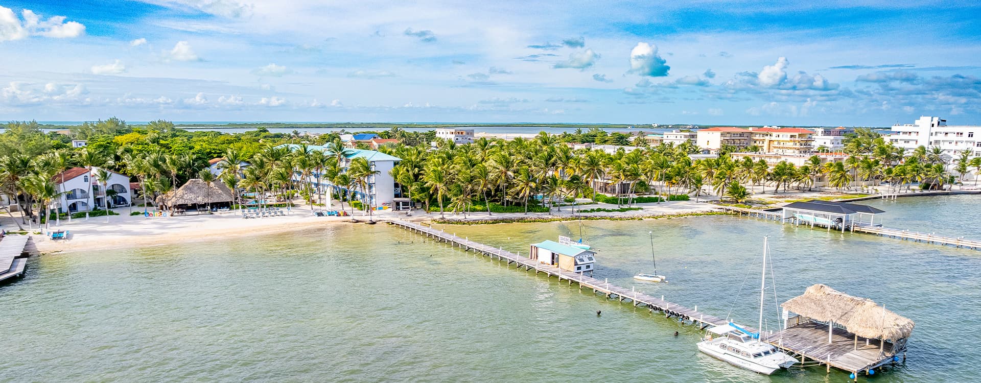 Aerial view of a sandy beach, palm trees, and a marina with boats alongside coastal buildings.