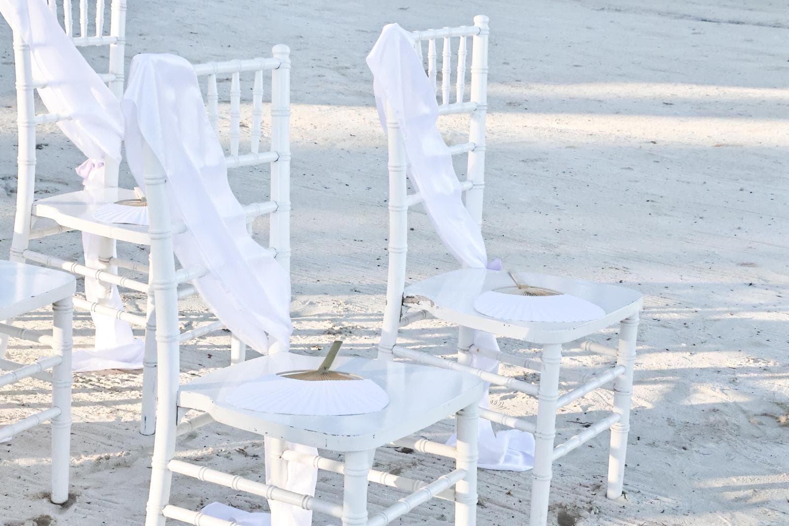 White chairs adorned with fabric bows sit on a sandy beach.