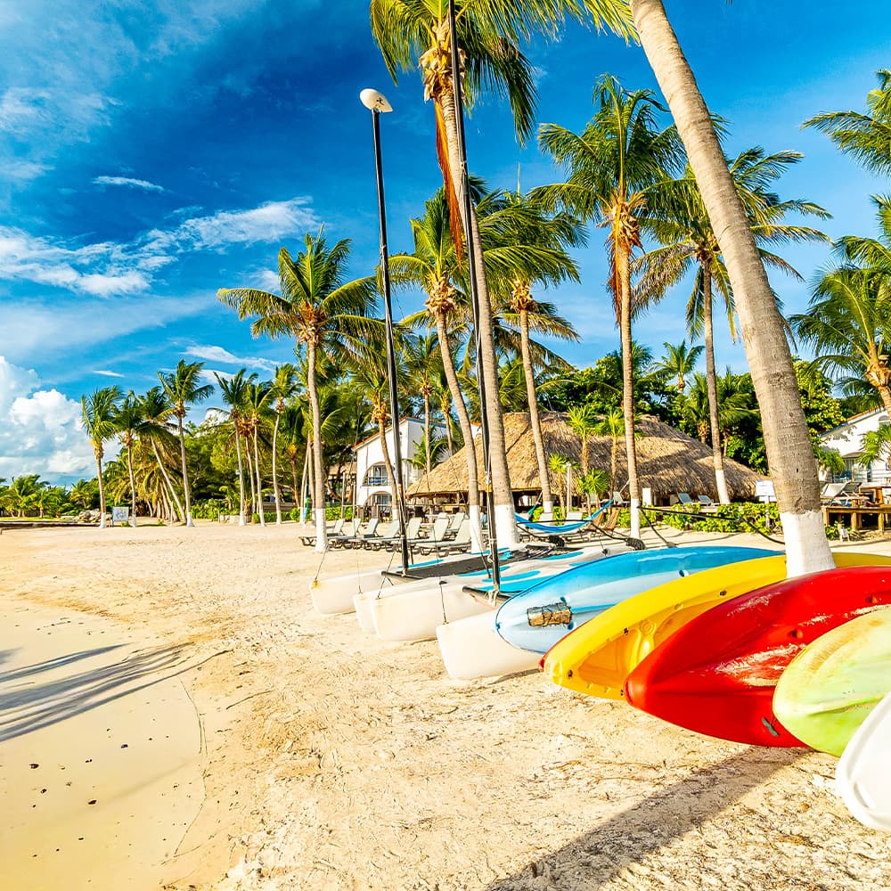 A sunny beach scene with colorful kayaks lined on the shore and palm trees swaying in the background.