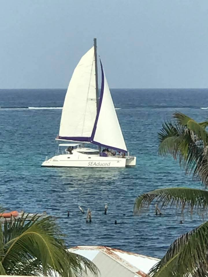 A catamaran named "SEAdduced" sails in blue waters with palm leaves in the foreground.